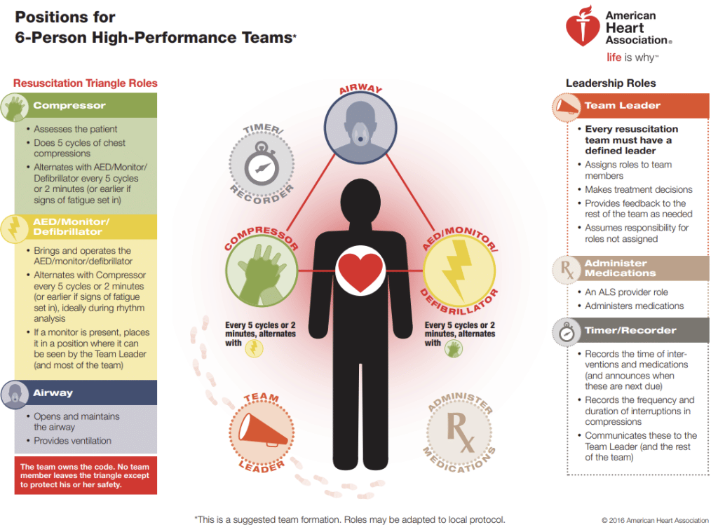 A graphic describing the Resuscitation Triangle Roles in a High Performance Team